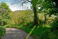 Photo A2 A track between Trew Farm and Clifford Mill Clifford/SS3021  c2014