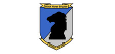 4" army virginia defense force black horse brigade good to go decal usa made