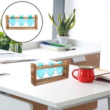 Glass Bulb Propagation Vase with Wood Stand for Garden Hydroponic Display