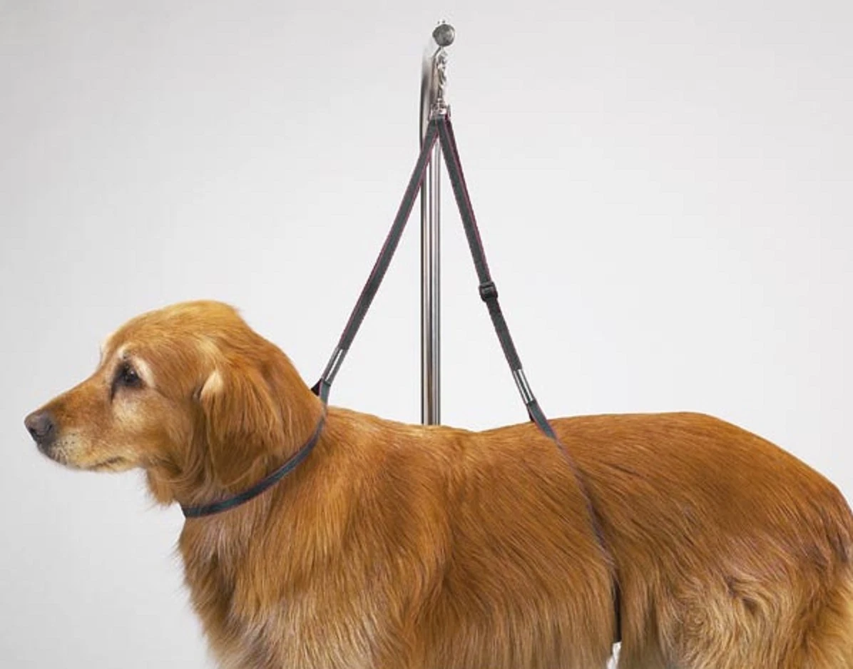Dog grooming tables clearance ebay