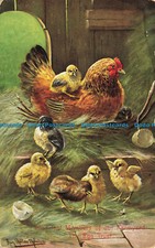 R642509 Important Members of Your Farmyrad. The Egg Trust. Max Ettlinger. Royal