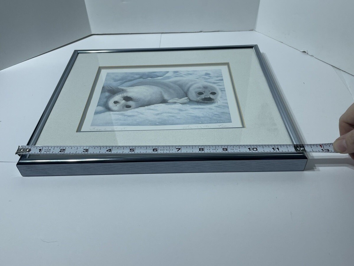 Liz Mitten-Ryan Art Print Fragile Trust Harp Seals Frame Matted