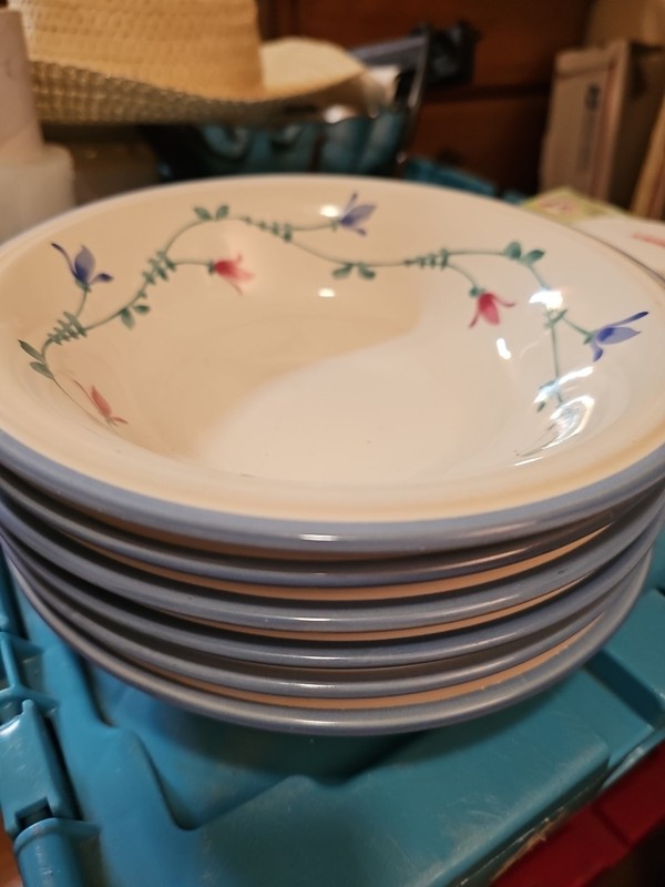 Savoir Vivre Portofino Blue Set of Six  8" Coupe Soup Bowls