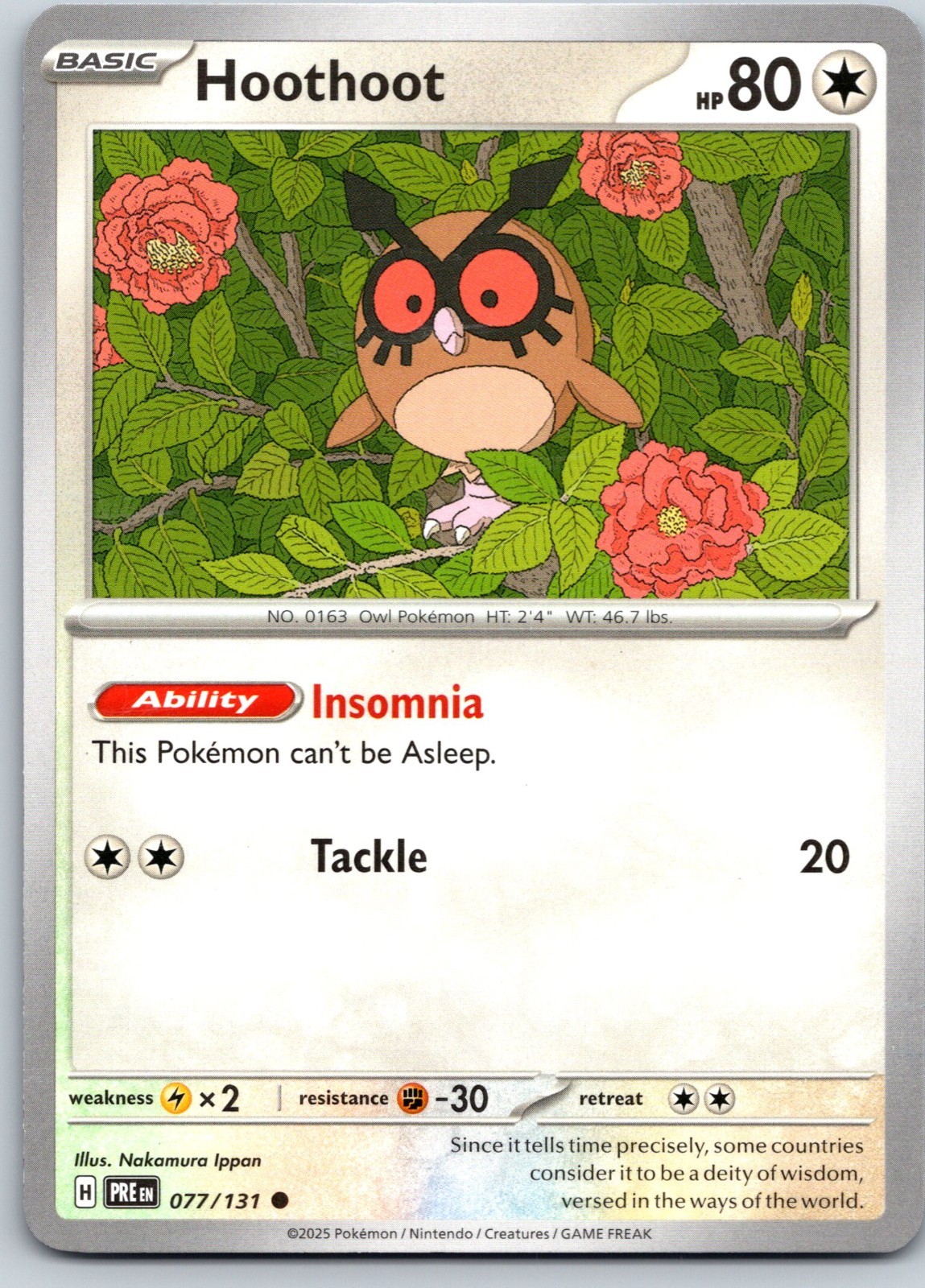 Hoothoot 077/131 PRE Regular