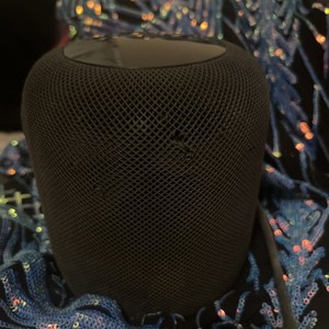 Home Pod Gen 1 | eBay