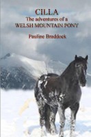 Pauline Braddock | Cilla The Adventures Of A Welsh Mountain Pony | Taschenbuch