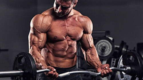 Extracto de Tribulus Terrestris 1000 mg - testosterona de primera calidad - 1 bot 90 quilates - Imagen 8 de 9