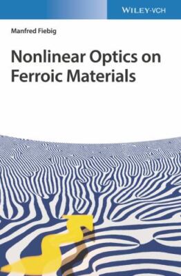 Nonlinear Optics on Ferroic Materials, Hardcover by Fiebig, Manfred, Brand Ne...