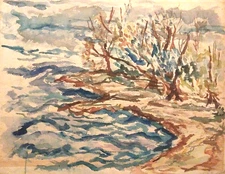 1955 ORIGINAL AMERICAN IMPRESSIONIST WATERCOLOR "LAKEVIEW"  SIGNED Dr. PARK
