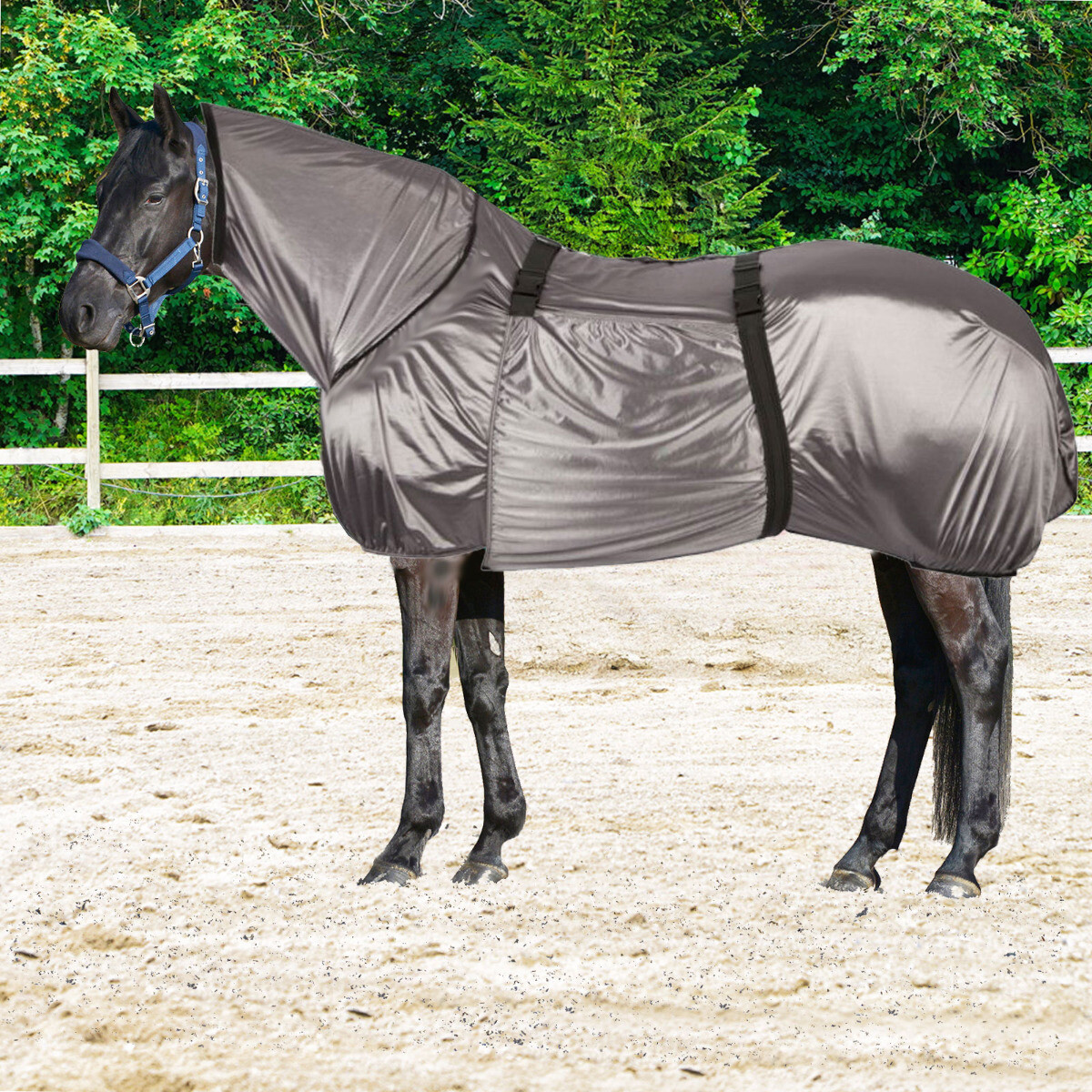 Manta eccema L-Sport manta antimoscas Riders King