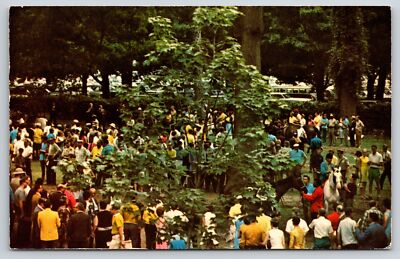 Sports~Open Paddock Scene @ Saratoga Horse Race Track~New York~Vintage Postcard