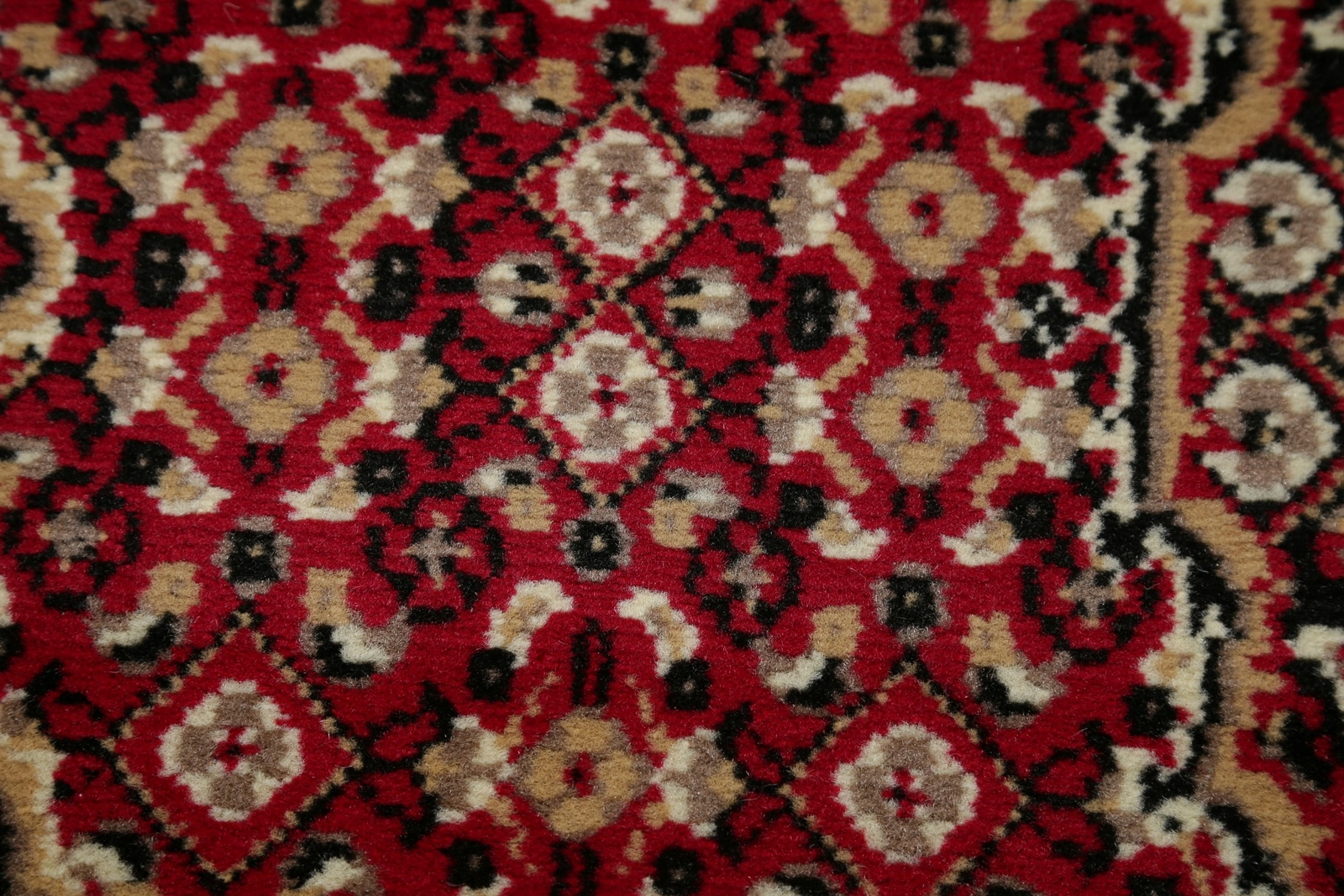 Foto 7 di 12