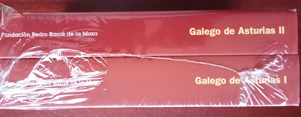 GALEGO DE ASTURIAS 2 VOL-X BABARRO GONZALEZ 1.000 PAGS GALEGO 1ª ED PRECINTADO - Imagen 2 de 4