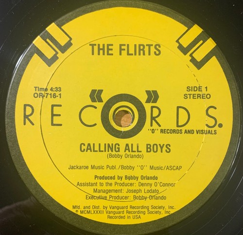 The Flirts - Calling All Boys / Passion (12") (Very Good Plus (VG+)) - 379162586