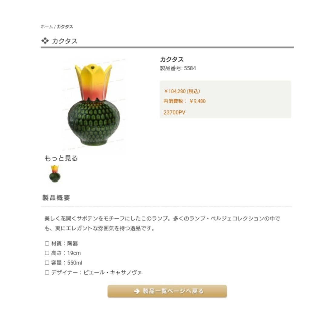 Rebeccanee  LAMPE BERGER Cactus セット Rebeccanee LAMPE BERGER Cactus セット Glaçon Zebra Lamp Gift