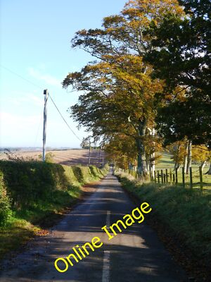 Photo 12x8 The Road To Cothill Polwarth A minor road near Marchmont. c2012