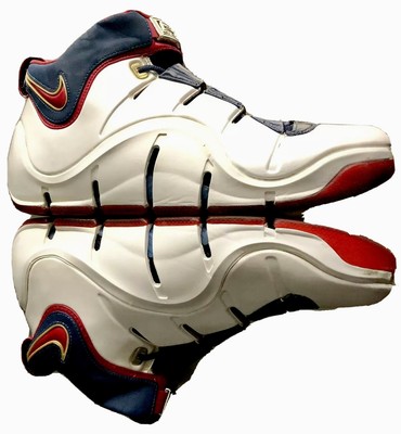 lebron 4 zoom