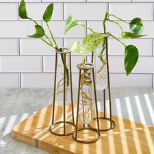 Propagation Station Terrariums with Gold Metal Stand - 3 Glass Test Tube