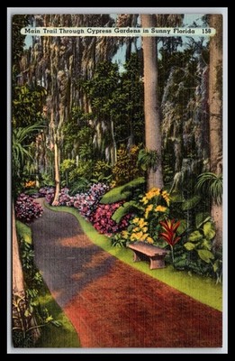 Main Trail Through Cypress Gardens in Sunny Florida  - Old Postcard H1