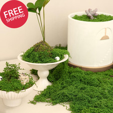 Fake Green Moss for Potted Plants Indoor 5.3oz Artificial Moss DIY Crafts Decor