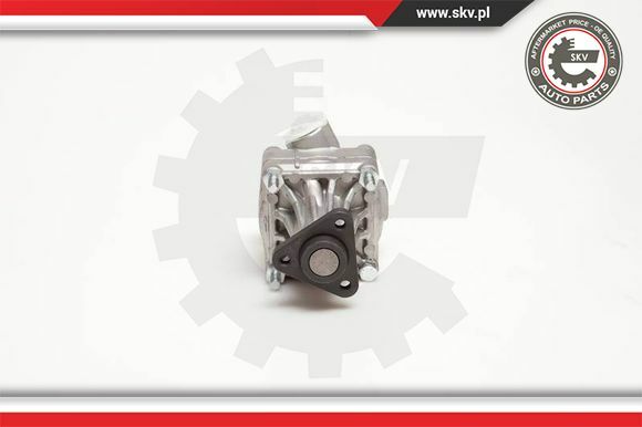 Esen SKV Servopumpe FüR Audi 80 8C B4 89 89Q 8A B3 Cabriolet 8G7 10SKV005-image