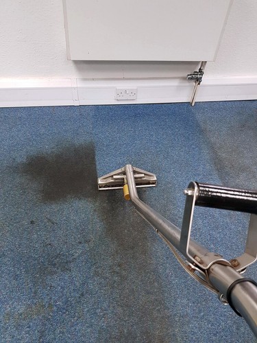 Premium Carpet & Upholstery Cleaner (5 Litres) - Picture 5 of 5