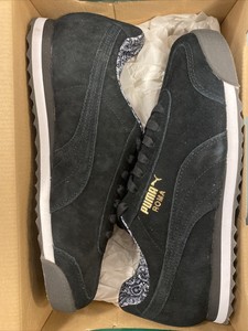 roma suede