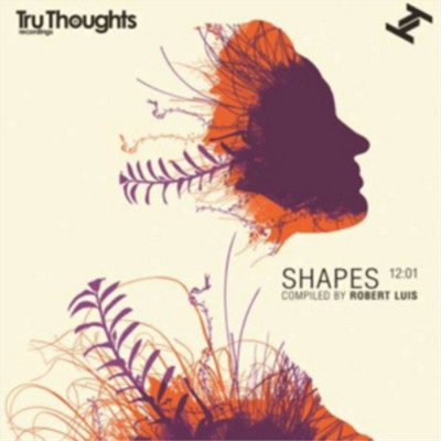 Various Artists Shapes 12:01 (CD) Album