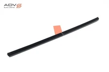 2020 - 2025 KIA TELLURIDE REAR LEFT DOOR WINDOW INNER BELT WEATHERSTRIP SEAL OEM