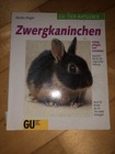 Bild 3 von 4