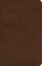 ESV Concise Study Bible-Brown TruTone