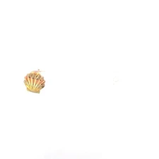 14K Single Scallop Sea Shell Beach Motif Stud Earring Yellow Gold *97