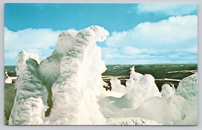 Two Top Mountain West Yellowstone Montana Snow Encased Pine Trees Postcard