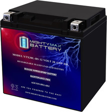 YTX30L-BS -12 Volt 30 AH, 385 CCA, Rechargeable Maintenance Free SLA AGM High Ra
