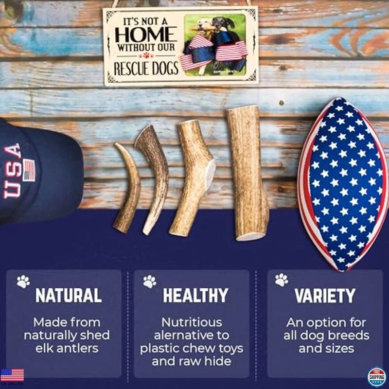 Cuernos de alce para perros Devil Dog Pet Co., medianos 5"+, paquete de 1, grado A de larga duración Foto 3 de 4