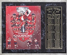Florida Panthers 2023-2024 Stanley Cup Champions 12" X 15"  Plaque
