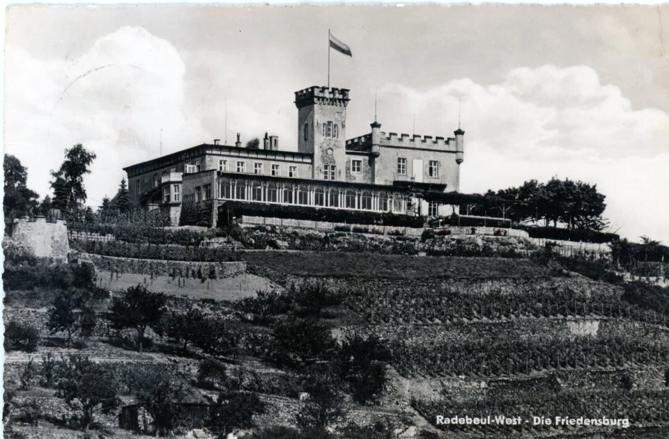 12-493 Ansichtskarte Radebeul Friedensburg Lößnitz Dresden Elbe Sachsen Weinbau  - Bild 1 von 1
