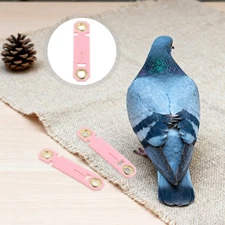  20 Pcs Pigeon Accessories Bird Marking Rings Bands for Small Birds