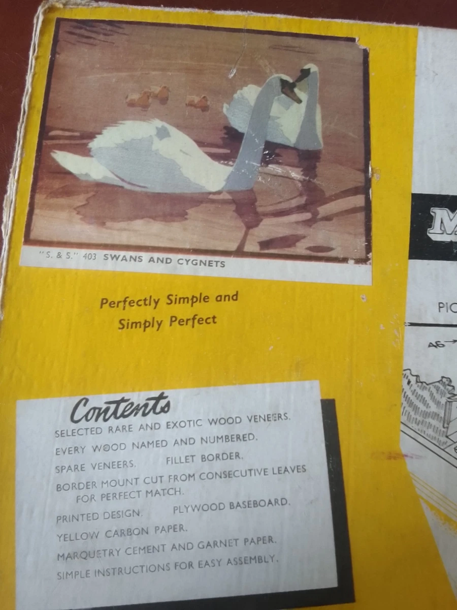 pictórico marquety kit cisnes y cignetos