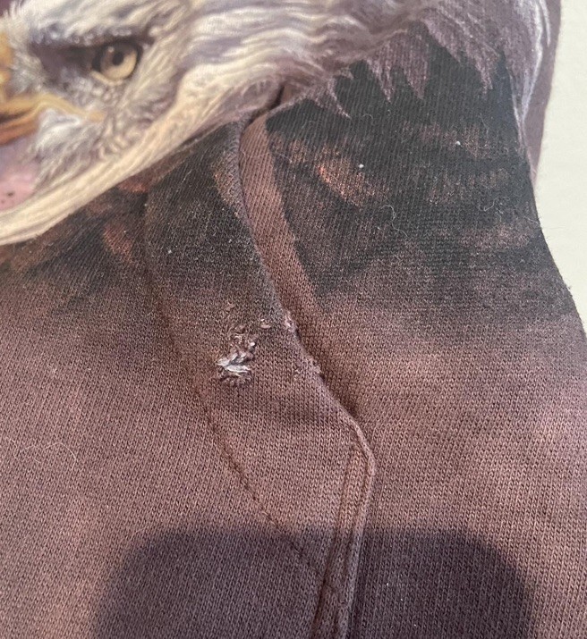 Vintage The MOUNTAIN BALD EAGLE NATURE Tie-Dye Heavy HOODIE  Unisex Size Small image 5