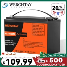 12V 100Ah LiFePO4 Lithium Battery BMS Deep Cycle for RV Marine Solar Off-grid