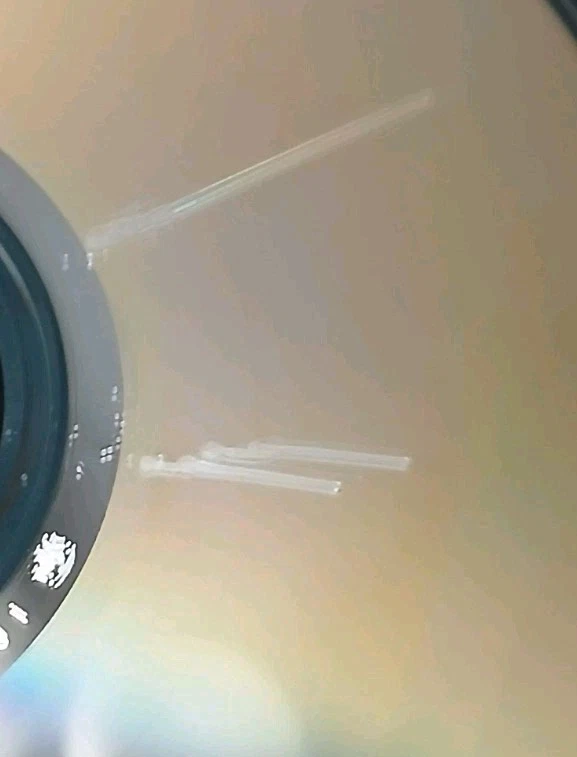 Runt - Devil Child (cd) cleveland ohio  mushroomhead inc records..SEE CONDITION - Image 2 of 4