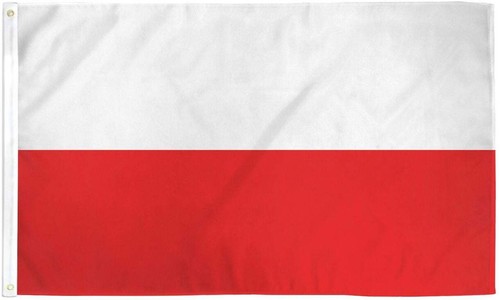 10 x "POLAND" flag 2x3 ft polyester banner sign Polish Polska country EU UN - 第 1/8 張圖片