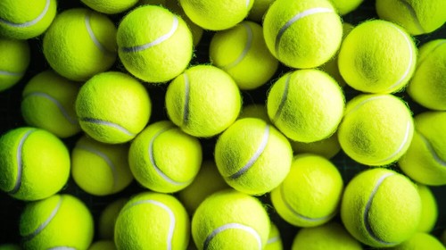 Lot De 25 balles De Tennis Occasion balle pour chiens