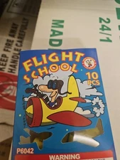 Flight School 10pc By Winda Prank Graduation Parties FREE SHIPPING