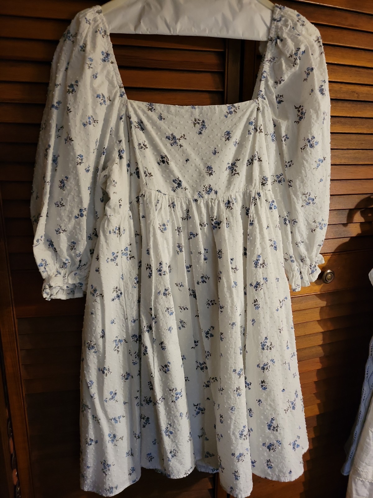 Altered StatesBlue Floral Puff Sleeve Babydoll Med