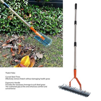 Thatch Rake Abgestorbenes Gras Rechen Effektive Entfernung Für Rasen