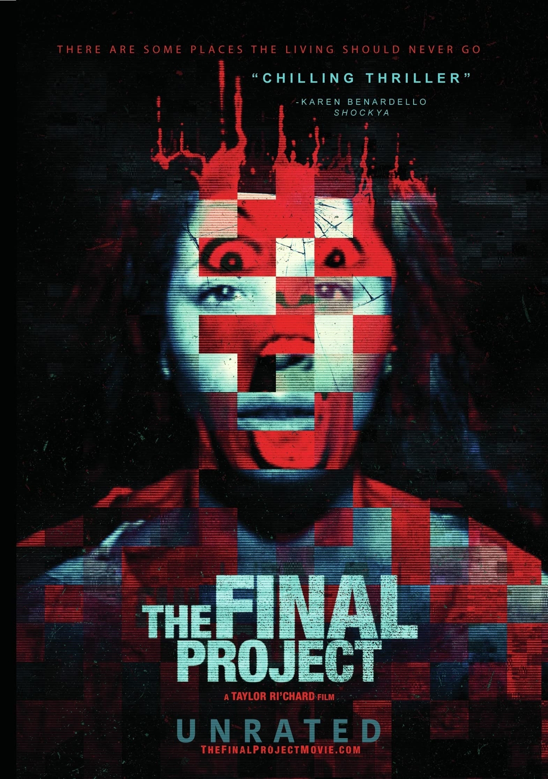 The Final Project (DVD)
