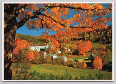 VT Village Autumn Splendor Vermont Postcard 1981 John Wagner Jr New England