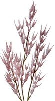 Clayre & Eef 5PL0058 Dekoration Zweig 6X6X72 Cm Rosa